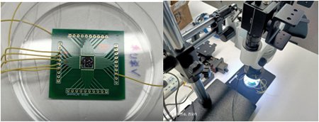 4319129288_28070815134_12364-2.jpg 4319129288_28070815134_12364-2.jpg