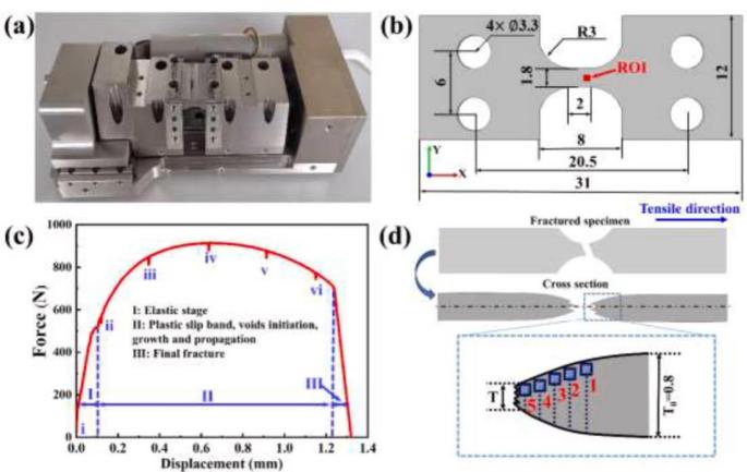 3D-DIC应变测量技术用于探究多尺寸微观结构损伤机制.jpg 3D-DIC应变测量技术用于探究多尺寸微观结构损伤机制.jpg