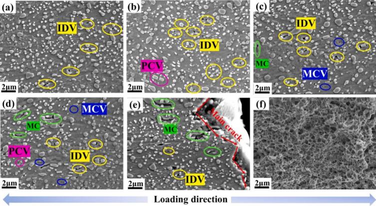 3D-DIC应变测量技术用于探究多尺寸微观结构损伤机制.jpg 3D-DIC应变测量技术用于探究多尺寸微观结构损伤机制.jpg