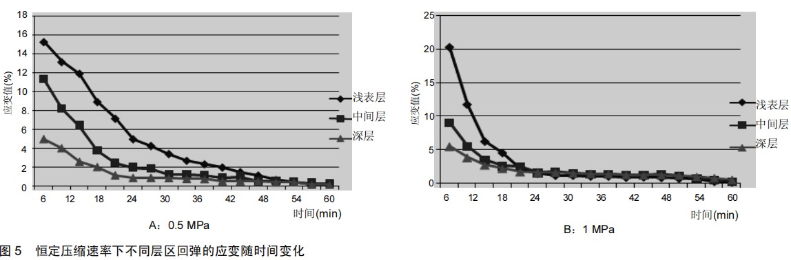 数字图像相关(DIC)技术用于关节软骨回弹全场变形测量.jpg 数字图像相关(DIC)技术用于关节软骨回弹全场变形测量.jpg